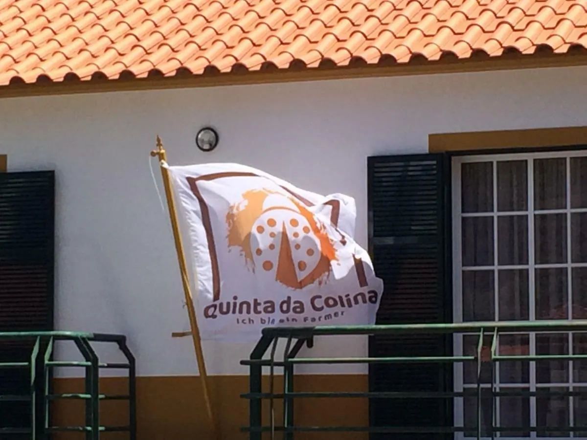 Vakantiehuis Quinta Da Colina Villa São Vicente Portugal